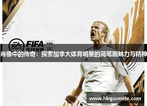 肖像中的传奇：探索加拿大体育明星的简笔画魅力与精神
